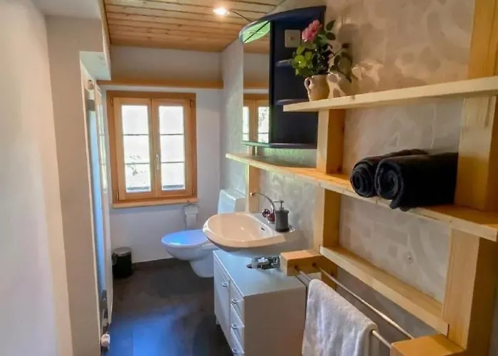 Simeli By Interhome Ferienhaus Grindelwald